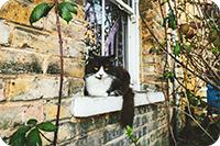 life insurance - small.jpg