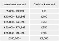 If you invest £5,000-£9,999, you'll get £50 cashback; £10,000-£24,999 get £100 cashback; £25,000-£49,999 get £250 cashback; £50,000-£74,999 get £350 cashback; £75,000-£99,000 get £500 cashback; £100,000+ get £1,000 cashback.