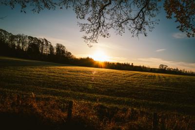 View over field with sun rising.