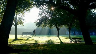 Person walking alone in the park.