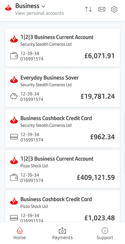 The Business Banking mobile app view accounts screen