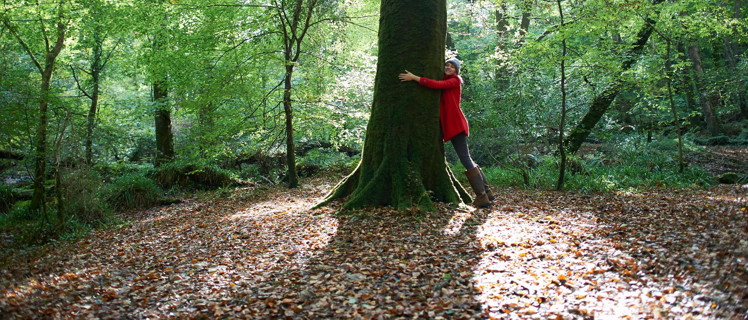 Sustainability V50R.jpg